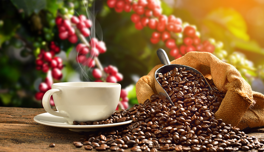 Hướng dẫn cách bón phân hiệu quả nhất cho cây trồng