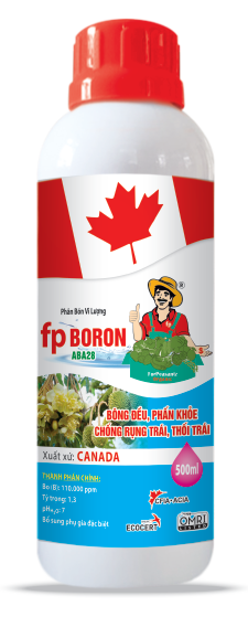 fp Boron